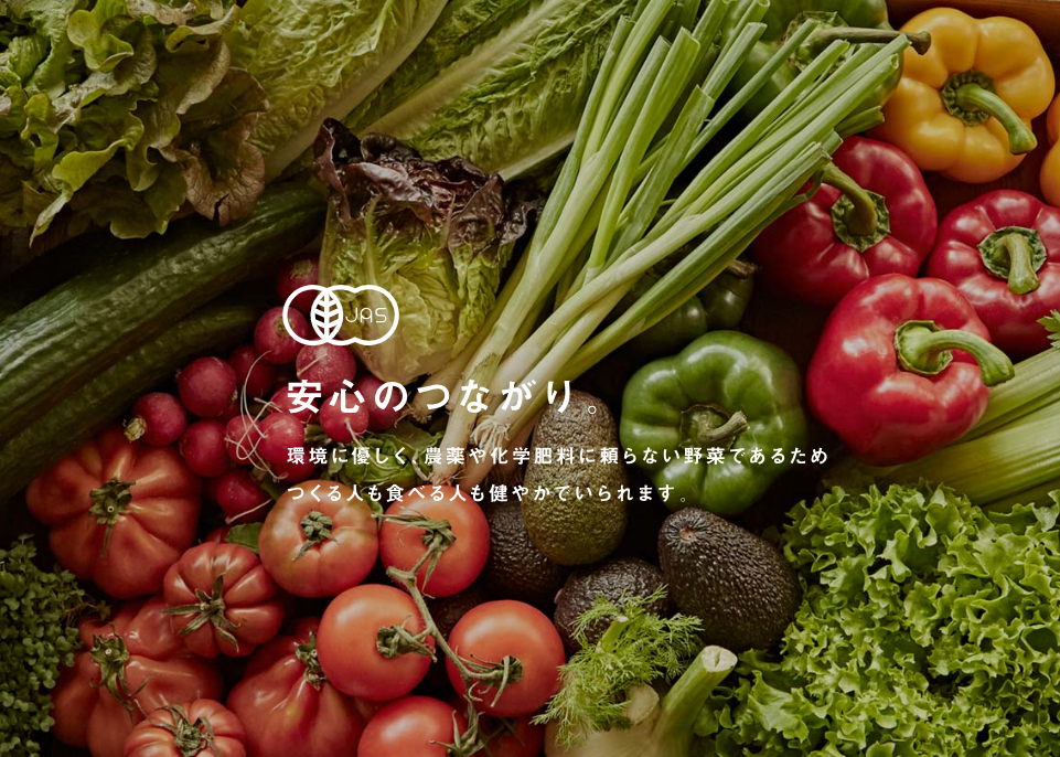 有機野菜のイメージ写真